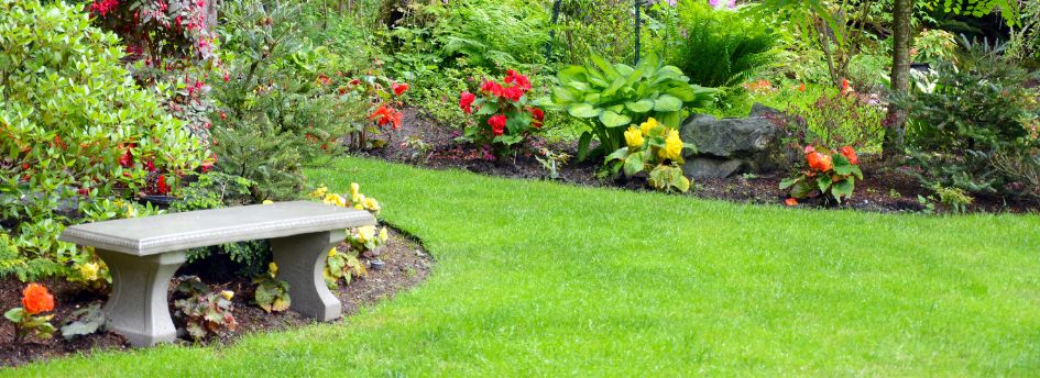 Sulfato de cobre para plantas, un blindaje para tu jardín