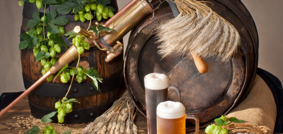 ¿Qué productos necesitan los cerveceros artesanales?